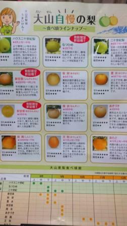新種の梨.JPG